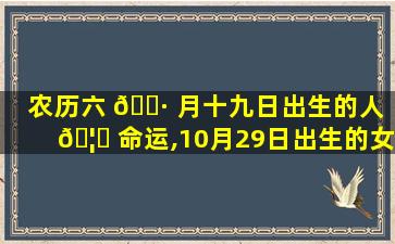农历六 🌷 月十九日出生的人 🦈 命运,10月29日出生的女孩命运